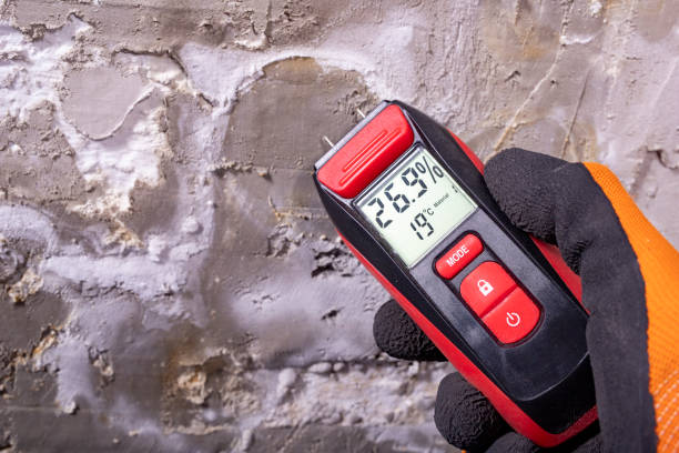 Crawl Space Mold Removal in Owings, MD