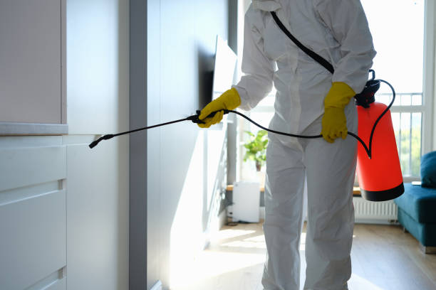 Best Certified Mold Removal  in Owings, MD